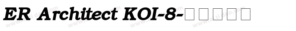 ER Architect KOI-8字体转换